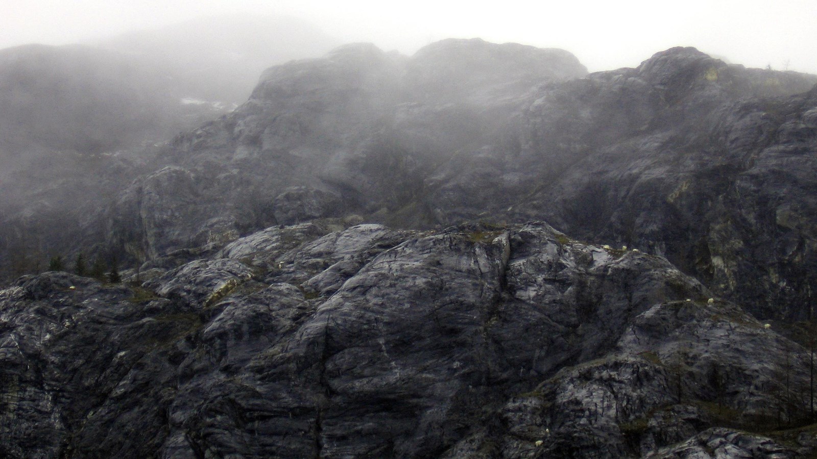 Fog descending on mountain goats atop the rocky ridges of Gloomy Knob.