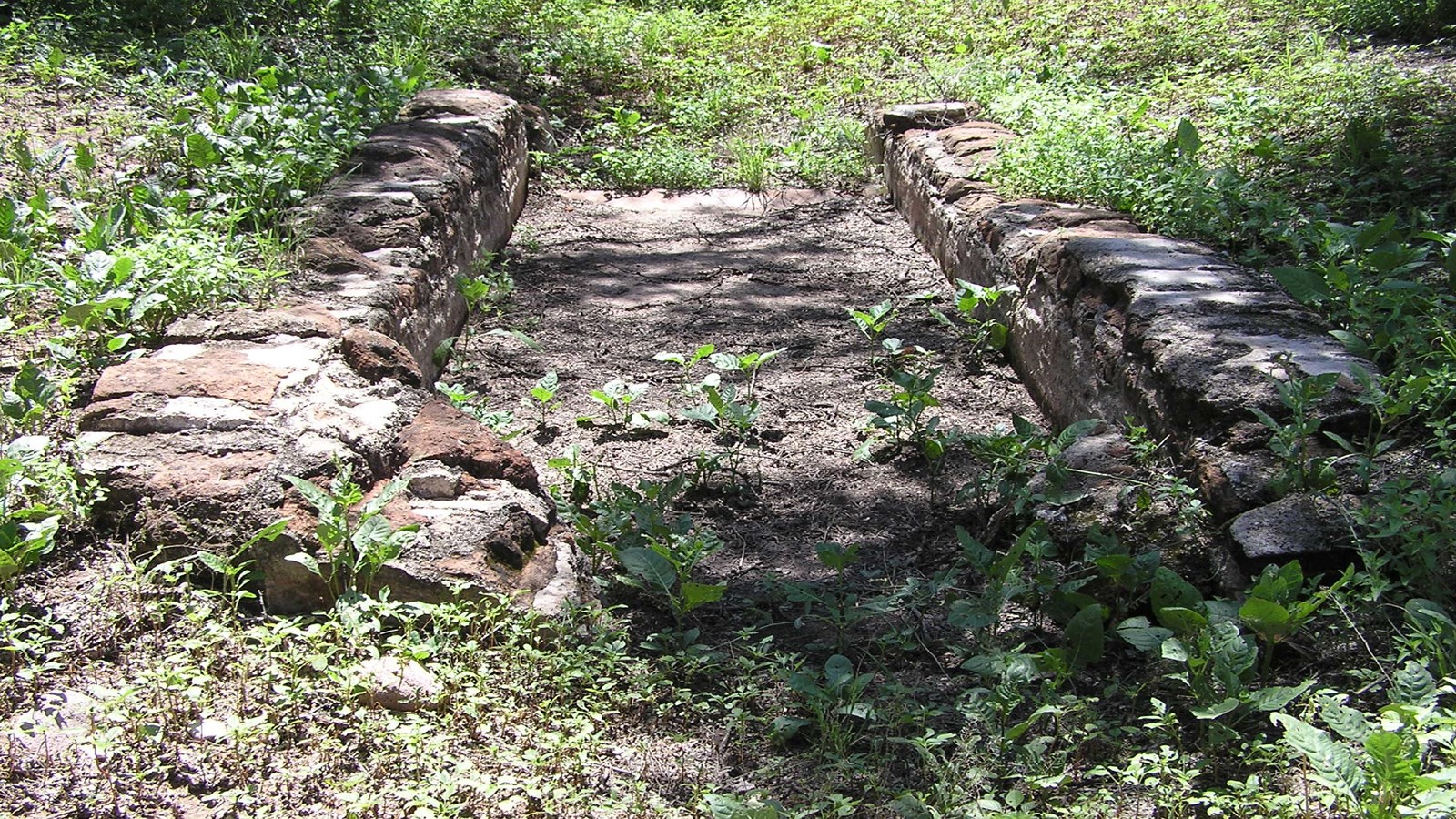 brick-lined basin surrounded by vegetation