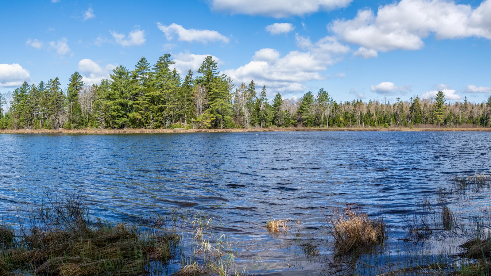 A panoramic photo of a pond with grassy shoreline and forest behind it on a blue sky cloudy day.