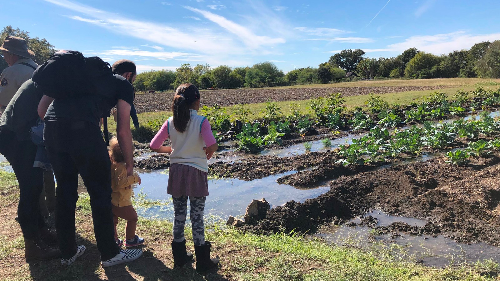 Young girl looks out toward farm fields of vegetables being watered.