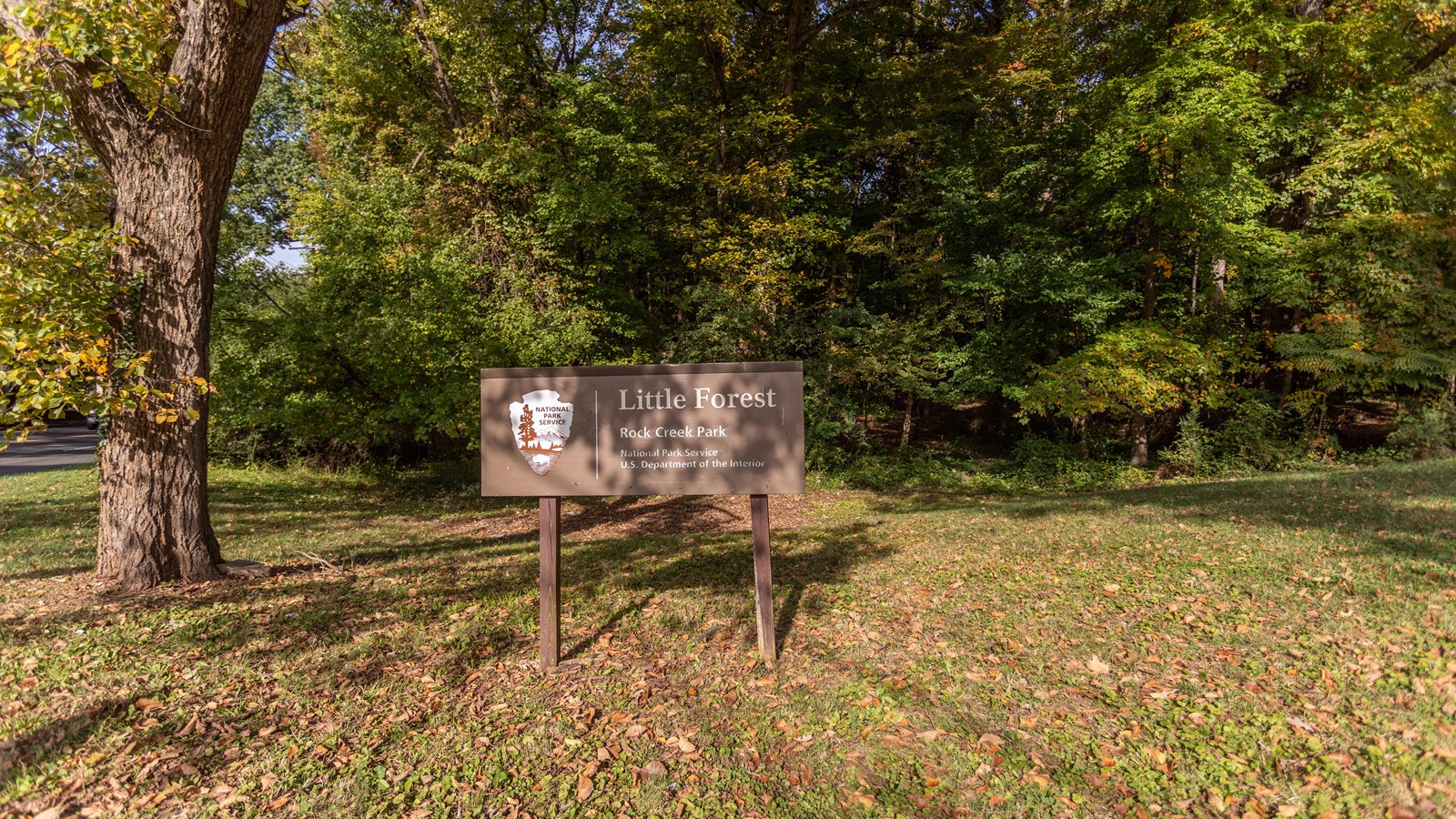 A sign in front of woods