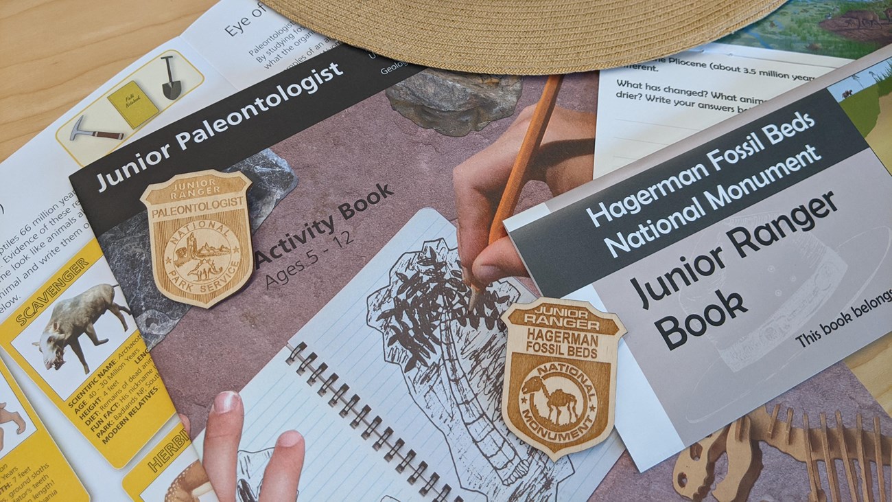 Junior ranger booklets, badges, and a ranger hat are scattered across a table.