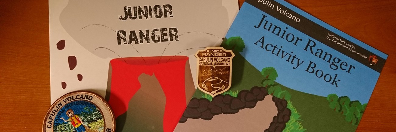 2 Junior Ranger Books and the Junior Ranger patch and 2 different badge