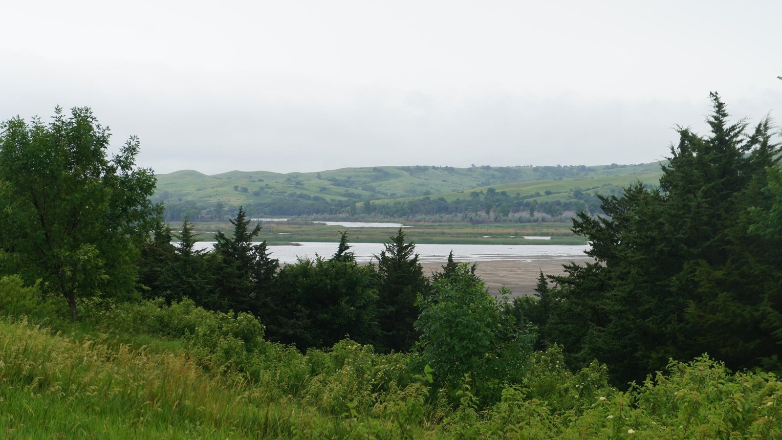 Missouri River channel and sandbars with Green trees and grass the bottom of the image. Cloudy sky. 