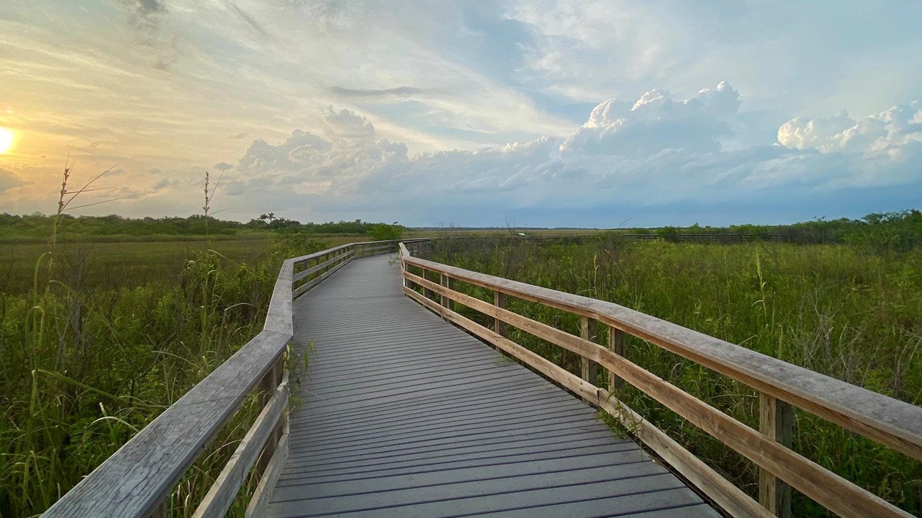 An angular boadwalk bends through a green sawgrass prarie. The sun rises in the background