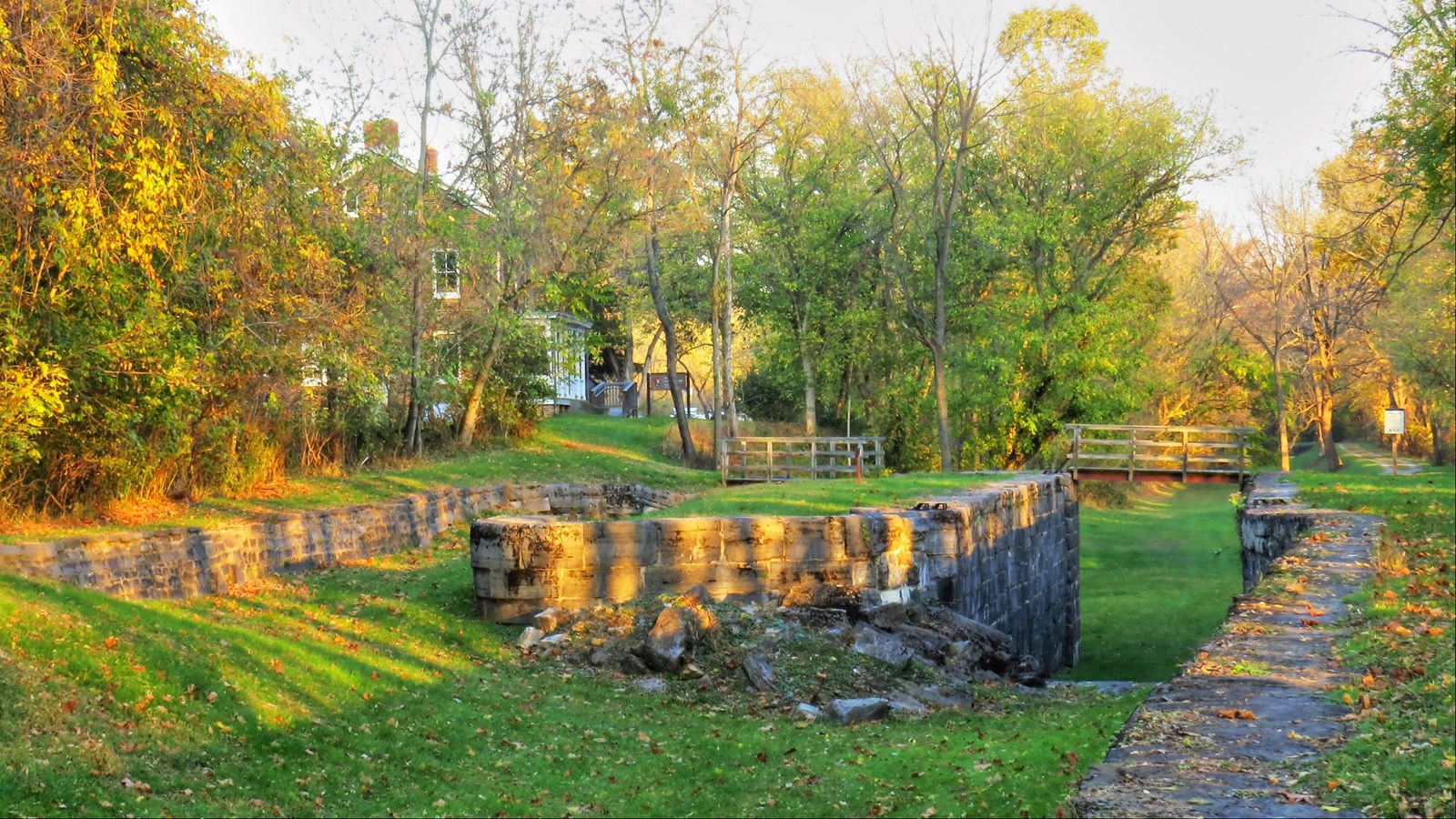 A grass filled lock splits into two adjacent chambers. A foot bridge spans each chamber.