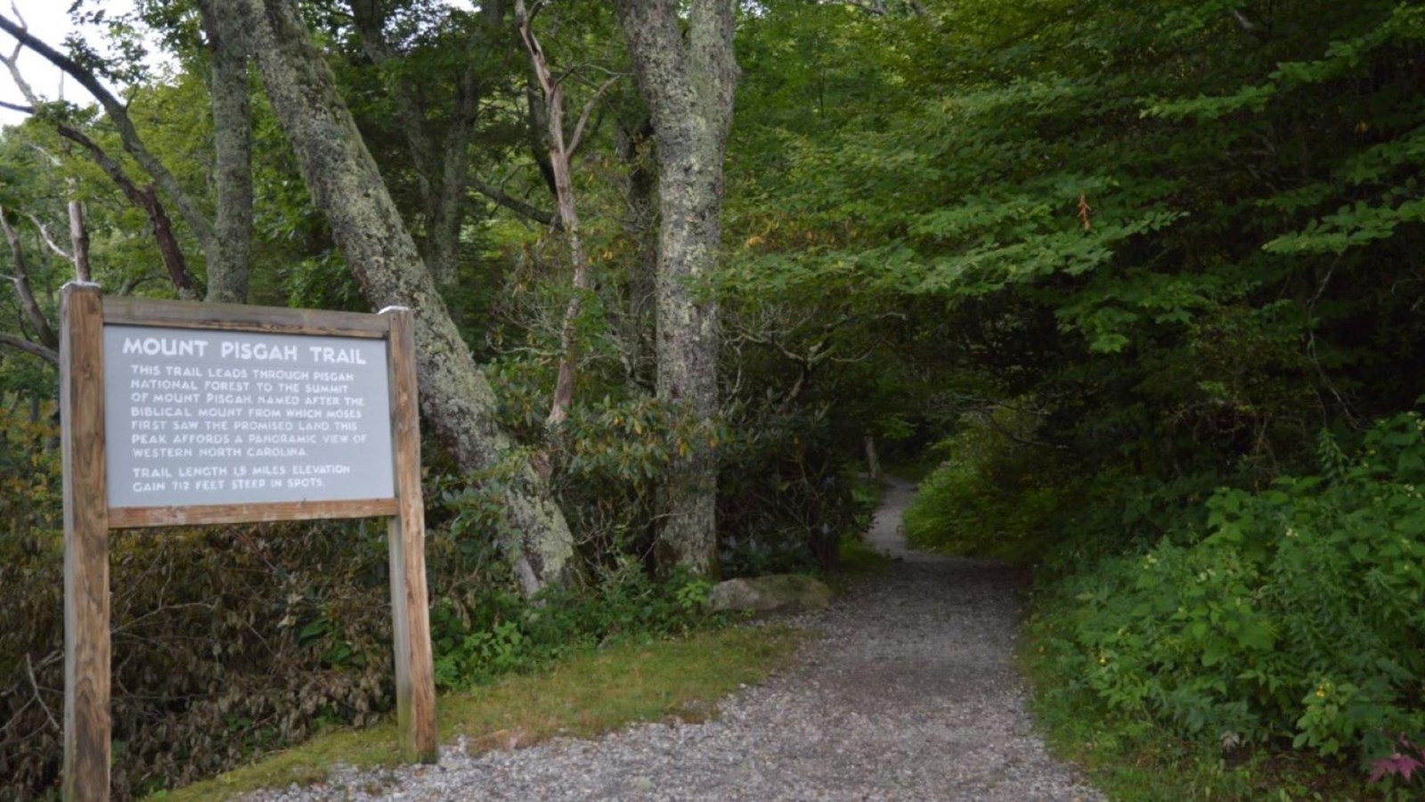 Large Mt. Pisgah information sign stands beside a gravel footpath leading into the woods.