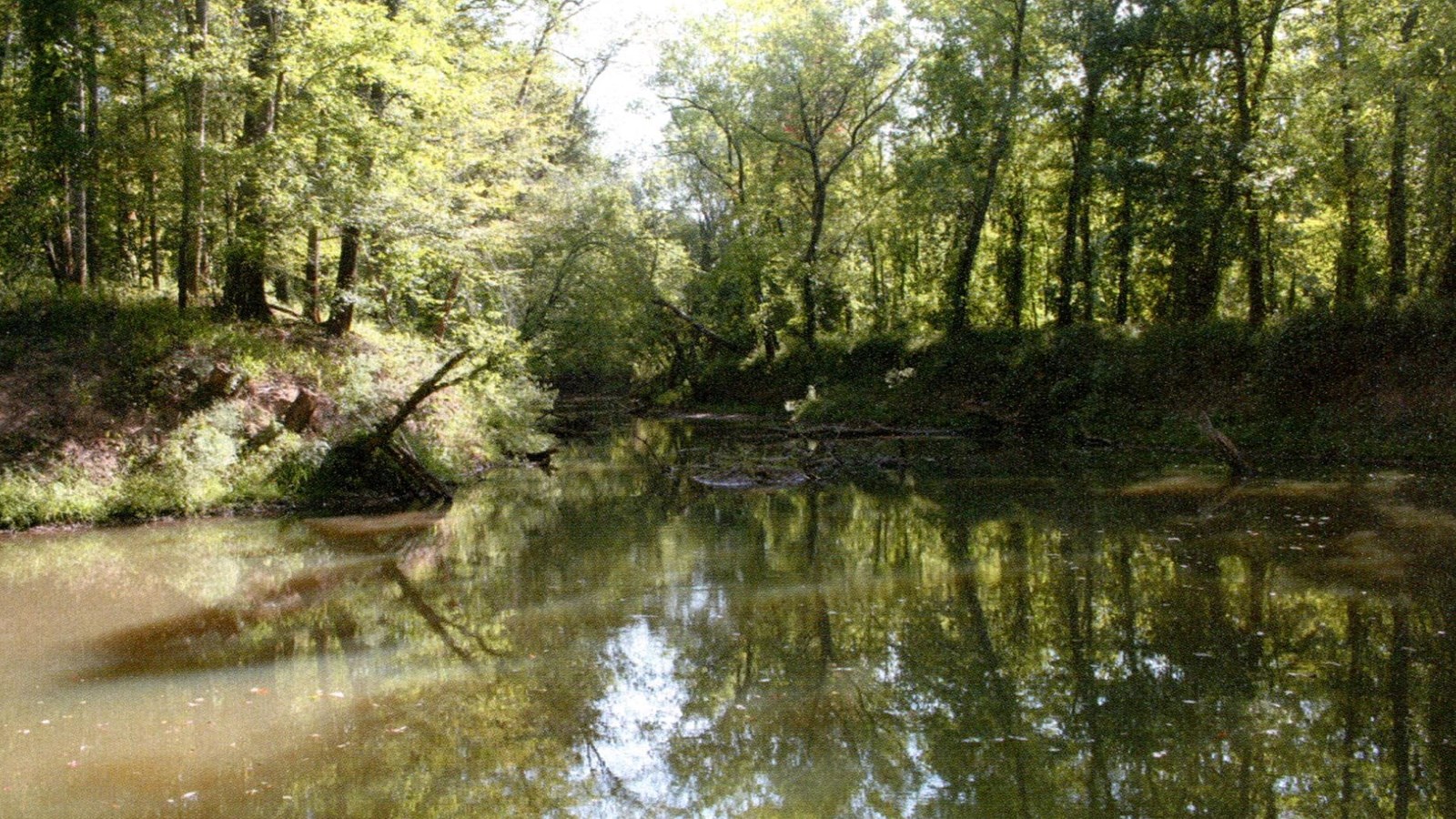 Image of a body of water, flanked by trees