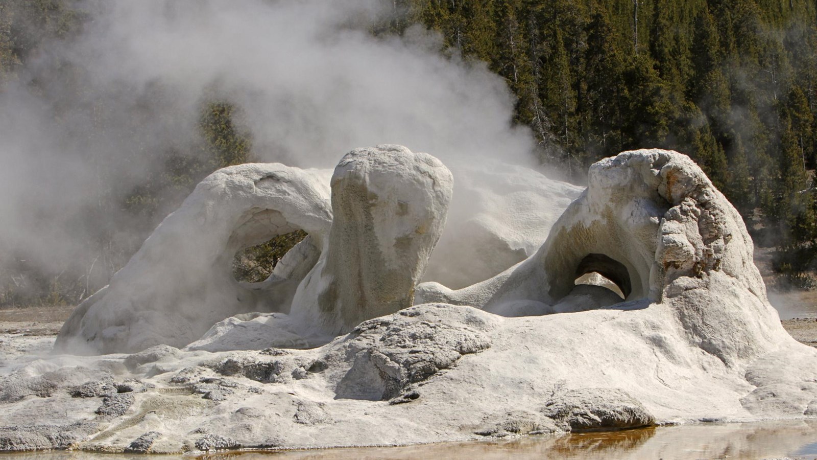 Steam emerges from the sinter arches of a hydrothermal feature.