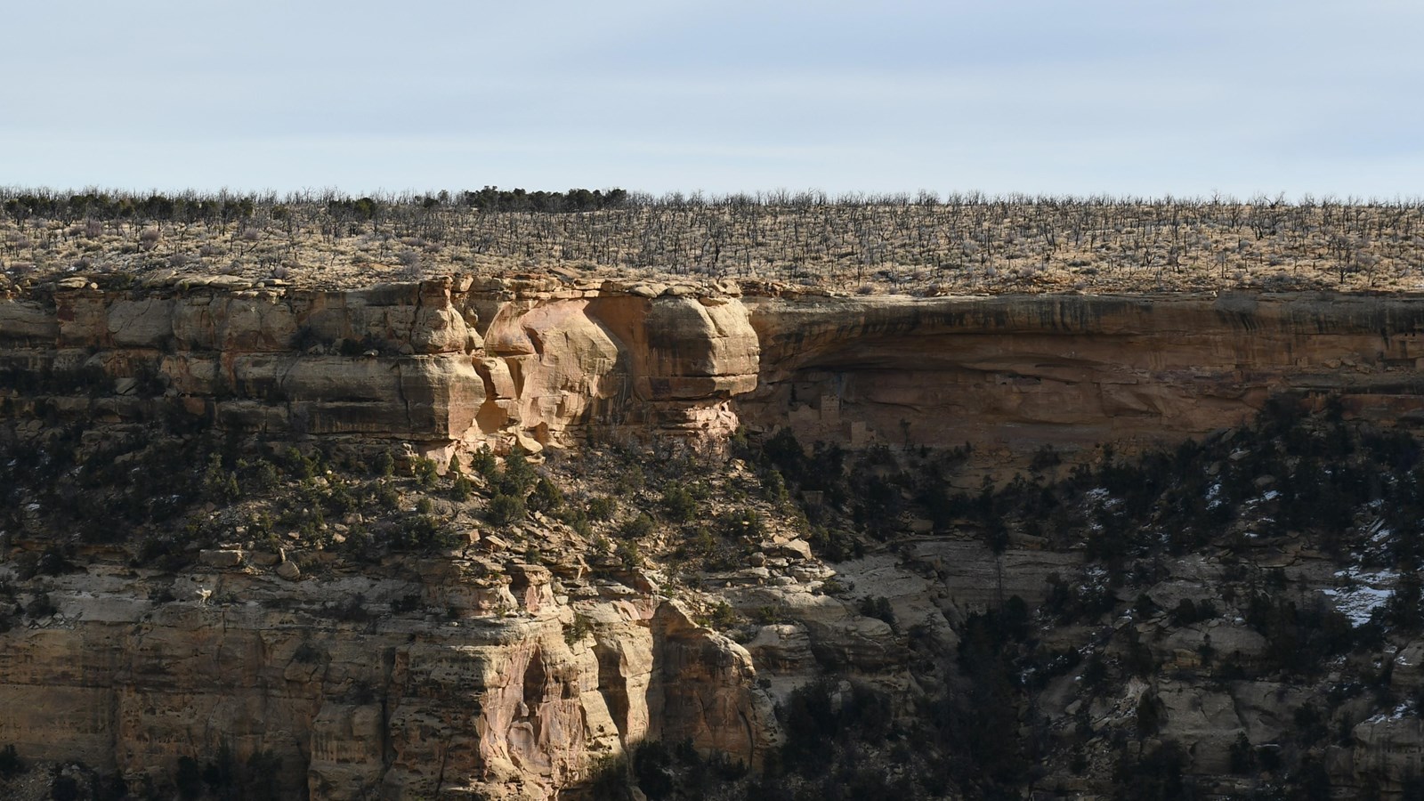 A cliff dwelling sits in a deep alcove in the canyon wall.