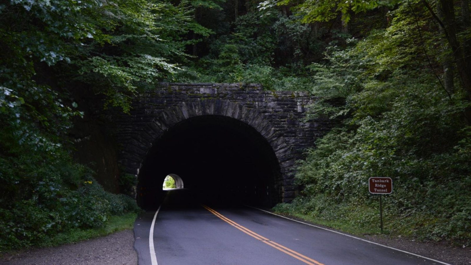A wet road leads into a long tunnel with a decorative stone face surrounded by woods.