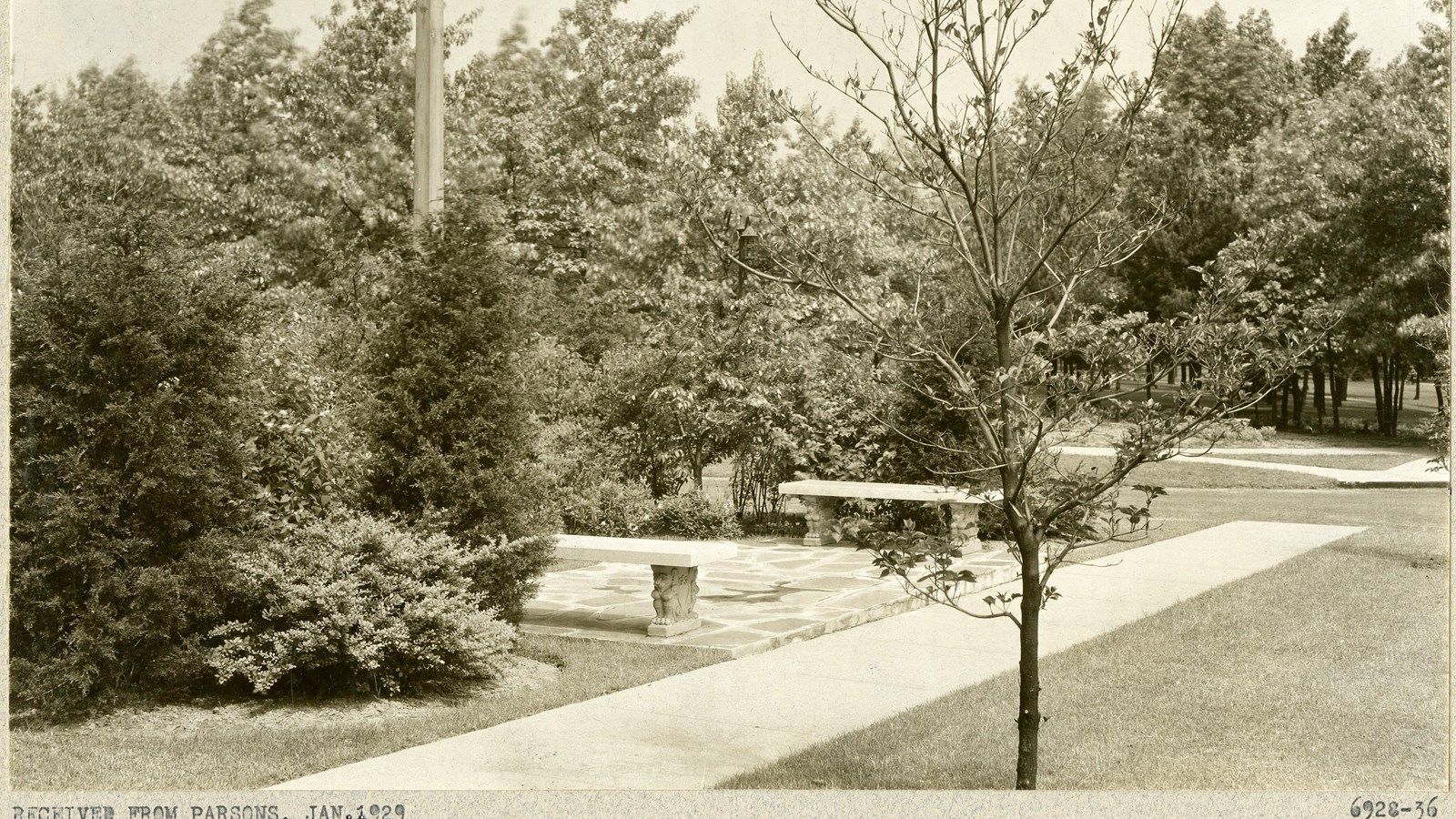 Black and white of flat path with grass on one side, trees on other, with two benches