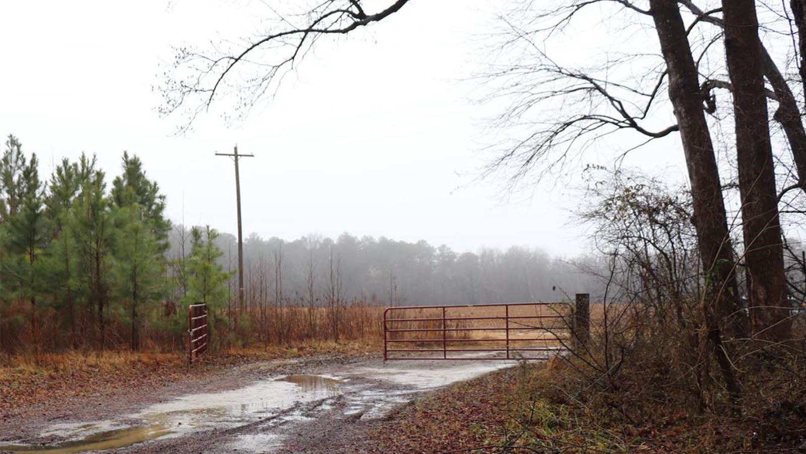 Dirt road with an open gate, evergreen trees in the background