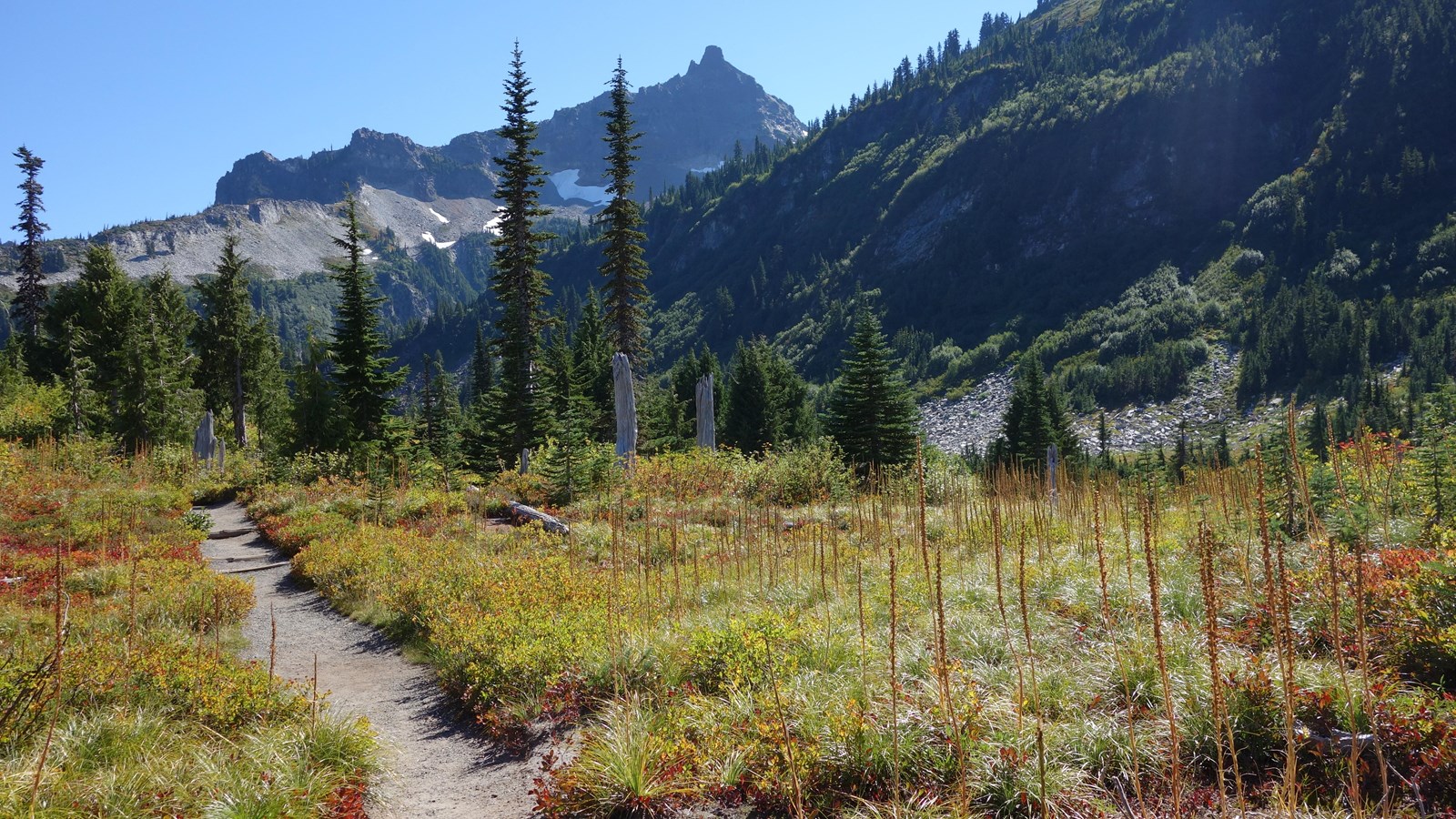 A trail cuts through a subalpine meadow with red and yellow fall foliage. 