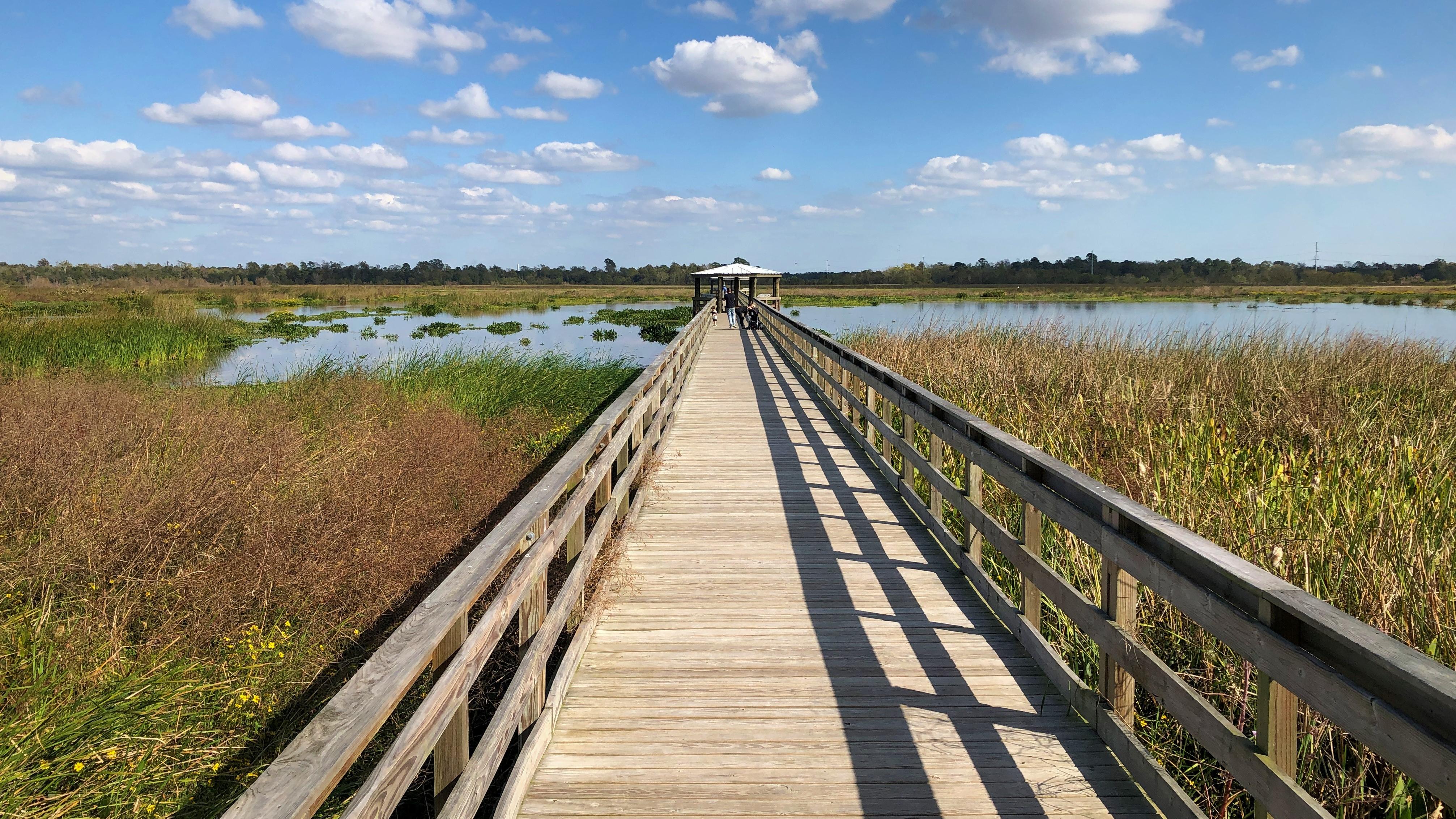 Cattail Marsh U.S. National Park Service