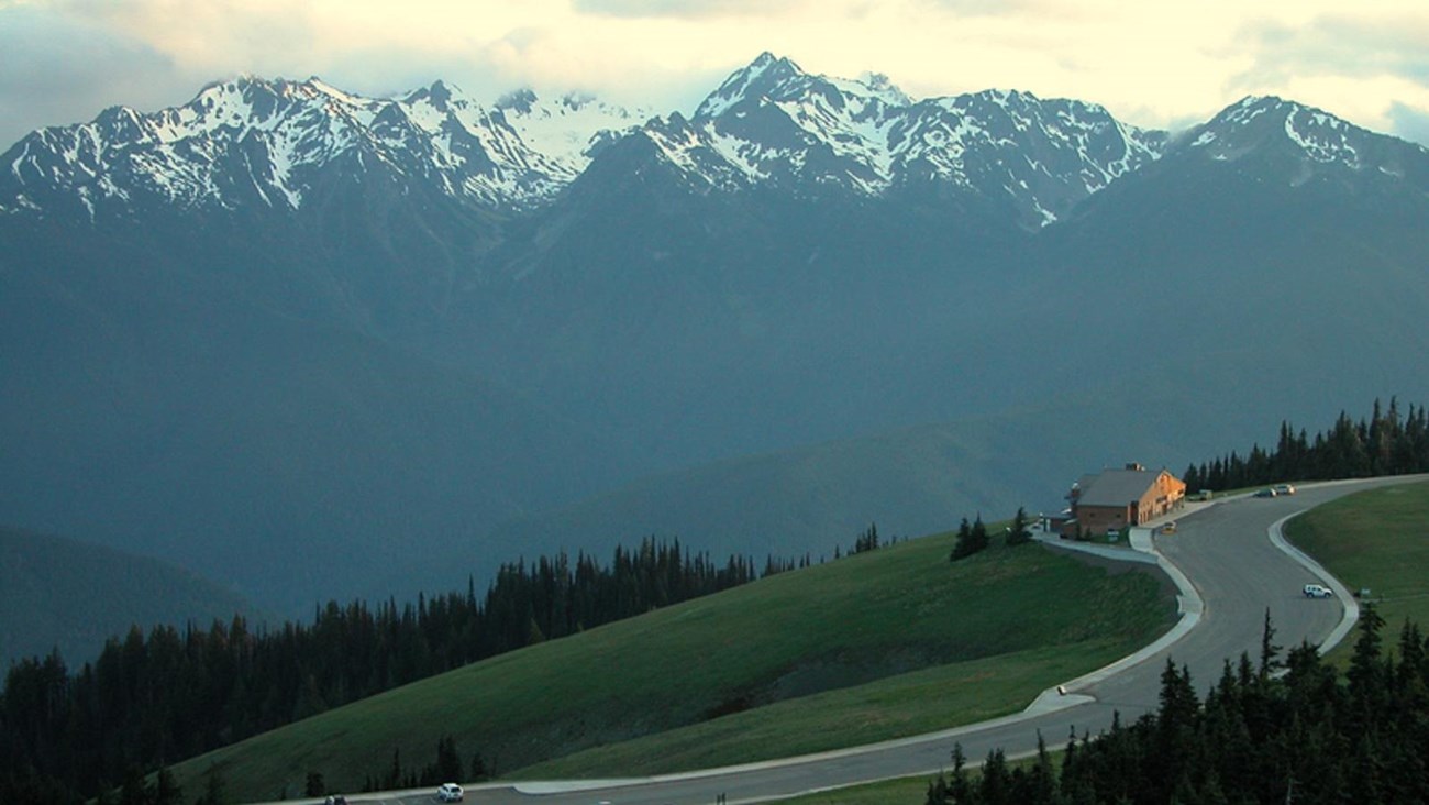 A view of Hurricane Ridge with the Olympic Mountains in the distance.