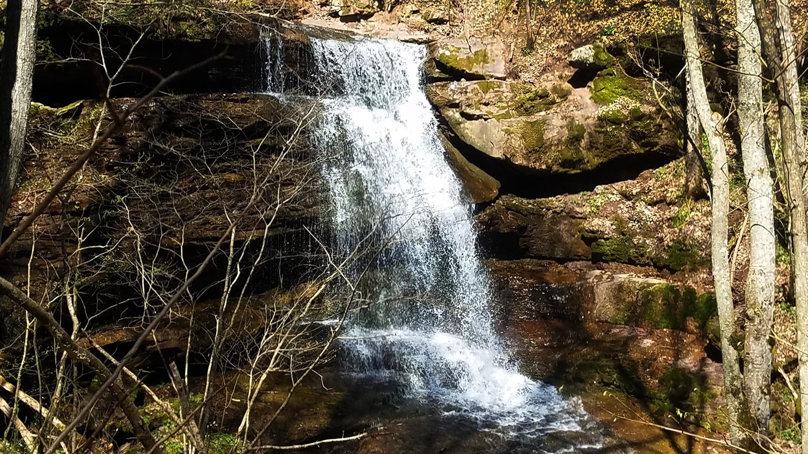 Water falling down brown sand-colored rocks in a forest of trees and green plants