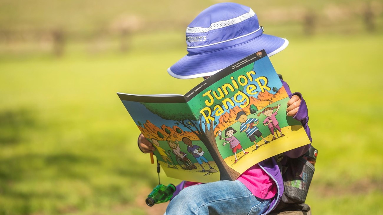 Child looking at a Junior Ranger booklet