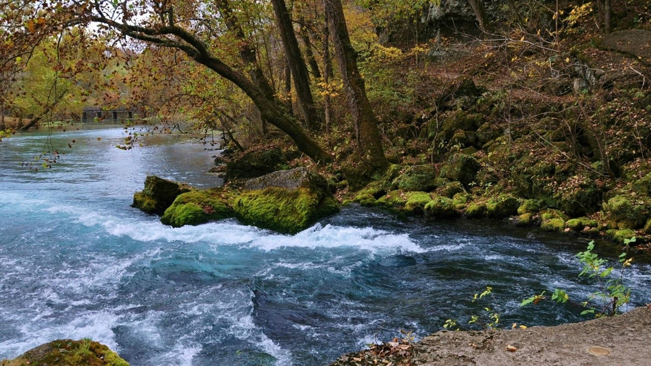 Big Spring with clear blue water flowing, and rocks covered with moss and trees lining spring