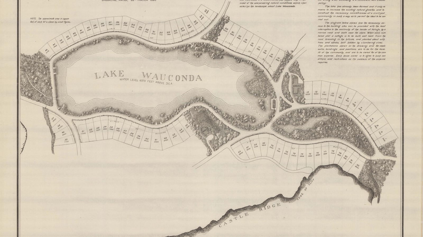 Pencil plan of large lake lined with trees with lots for homes around it 