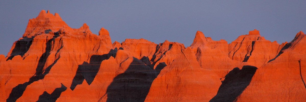 are dogs allowed in badlands national park