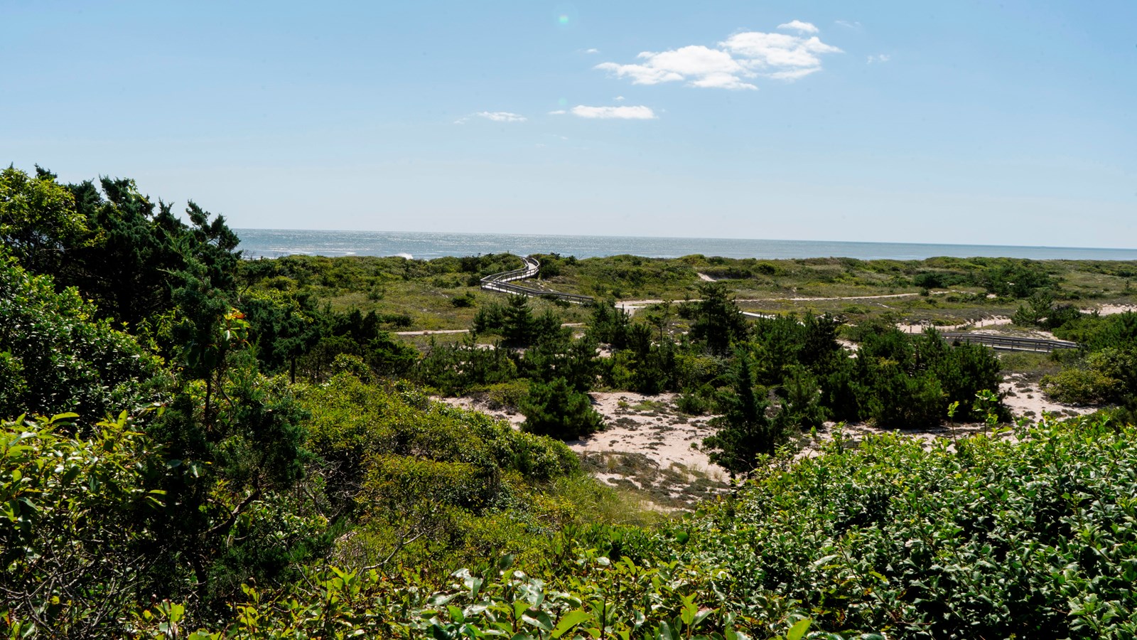 A view of the ocean and Fire Island, as seen from atop a secondary dune. 