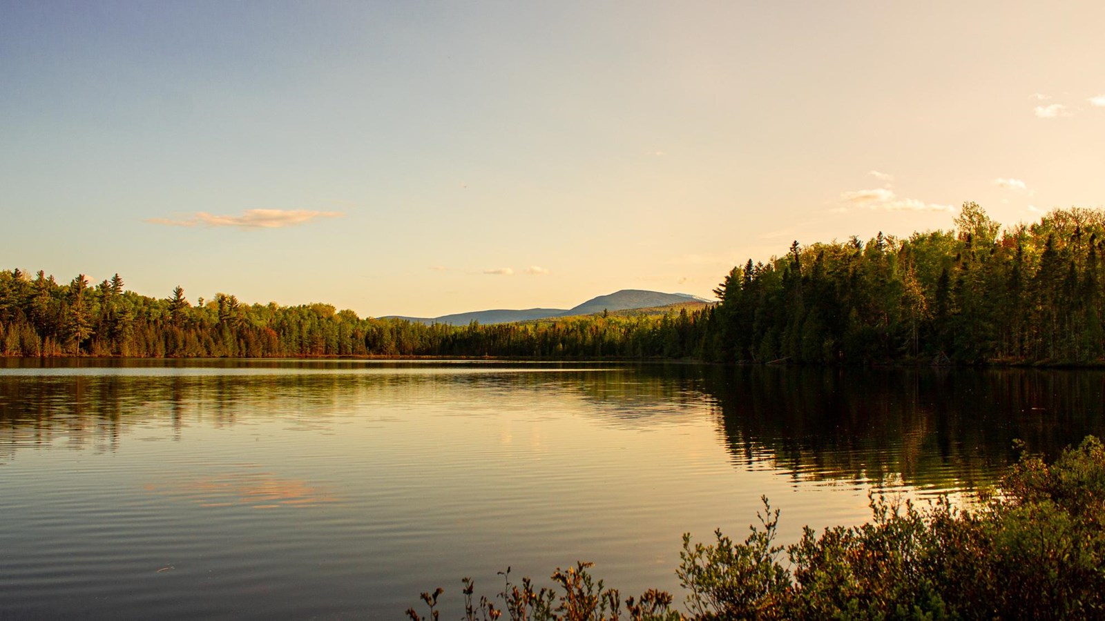 A pond reflects a clear sky as the sunsets behind the forest and distant mountains