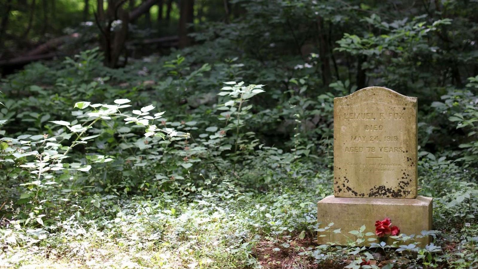 A color photograph of a headstone surrounded by forest. 