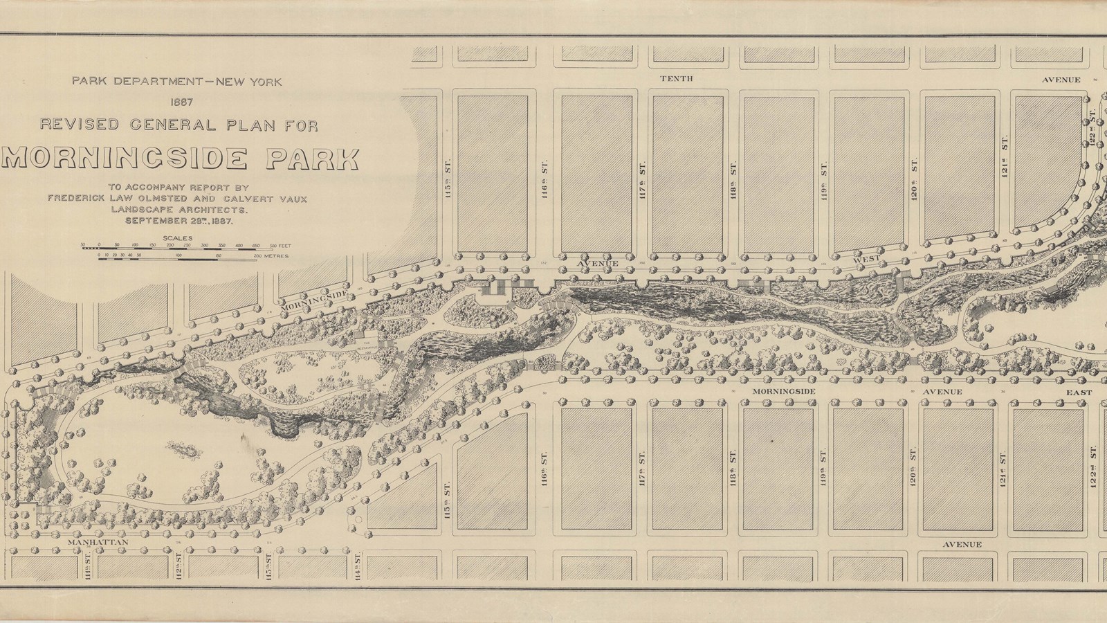 Pencil plan of park in shape of leg with straight line of city on all sides, curving lines and trees