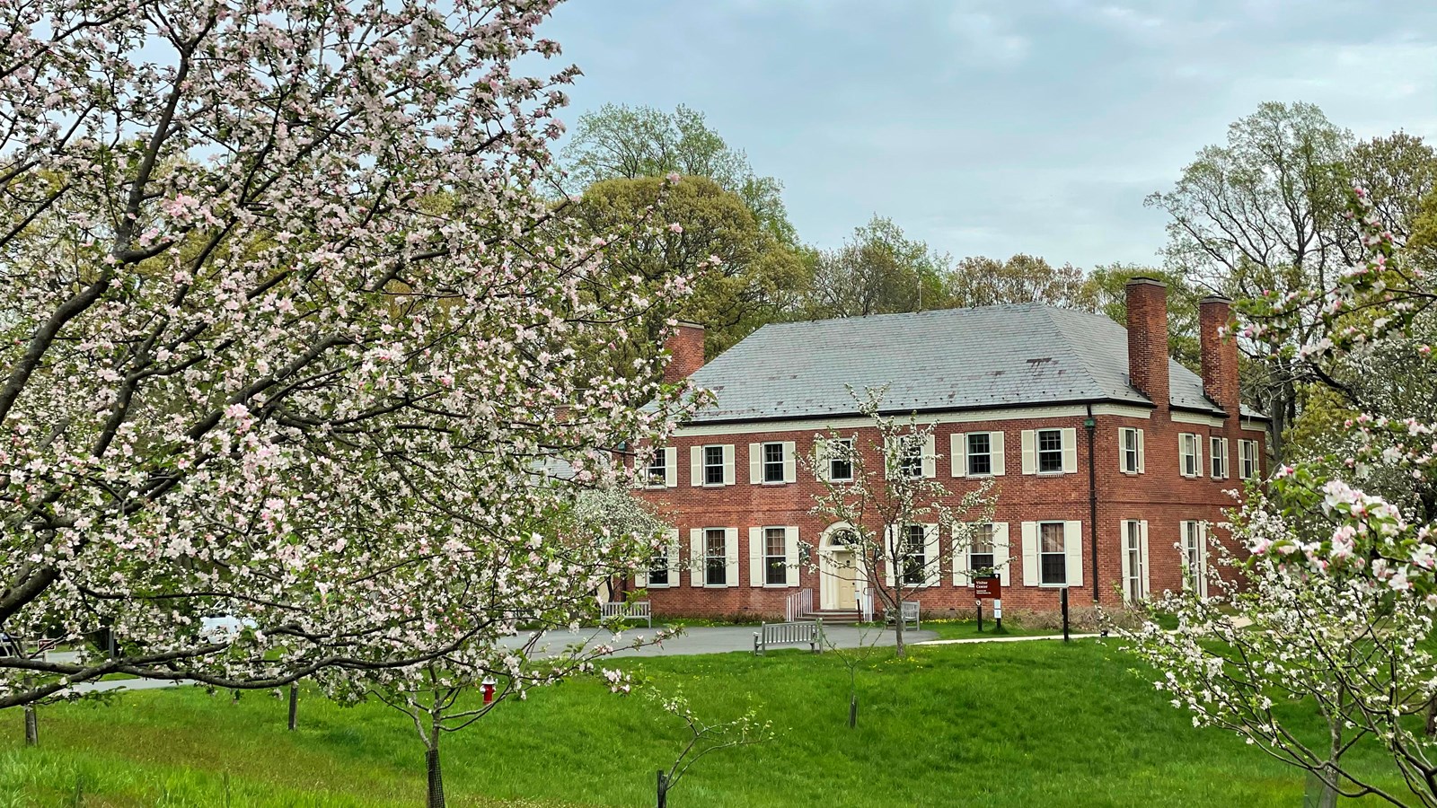 A large brick house with white shutters and blossoming apple trees in the foreground.
