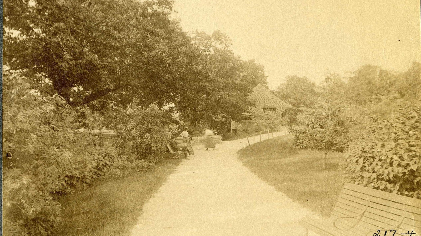 Black and white of curving path densely planted with trees and shrubs, benches along path 