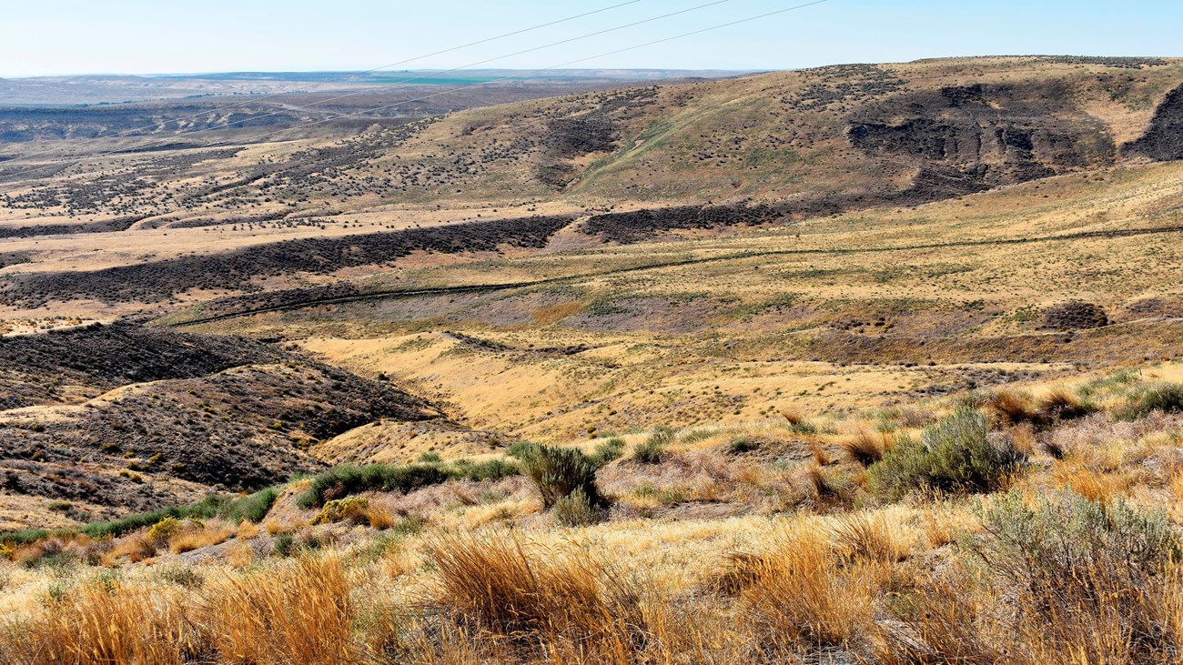 Panoramic view of a trail cutting through scrub-covered hills, descending into a valley.