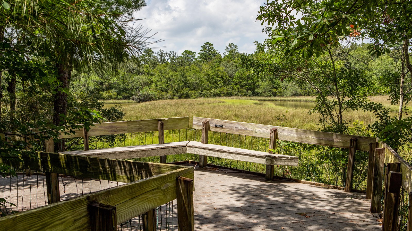 A wooden platform and railing surrounded by vegetation overlooks the bayou.