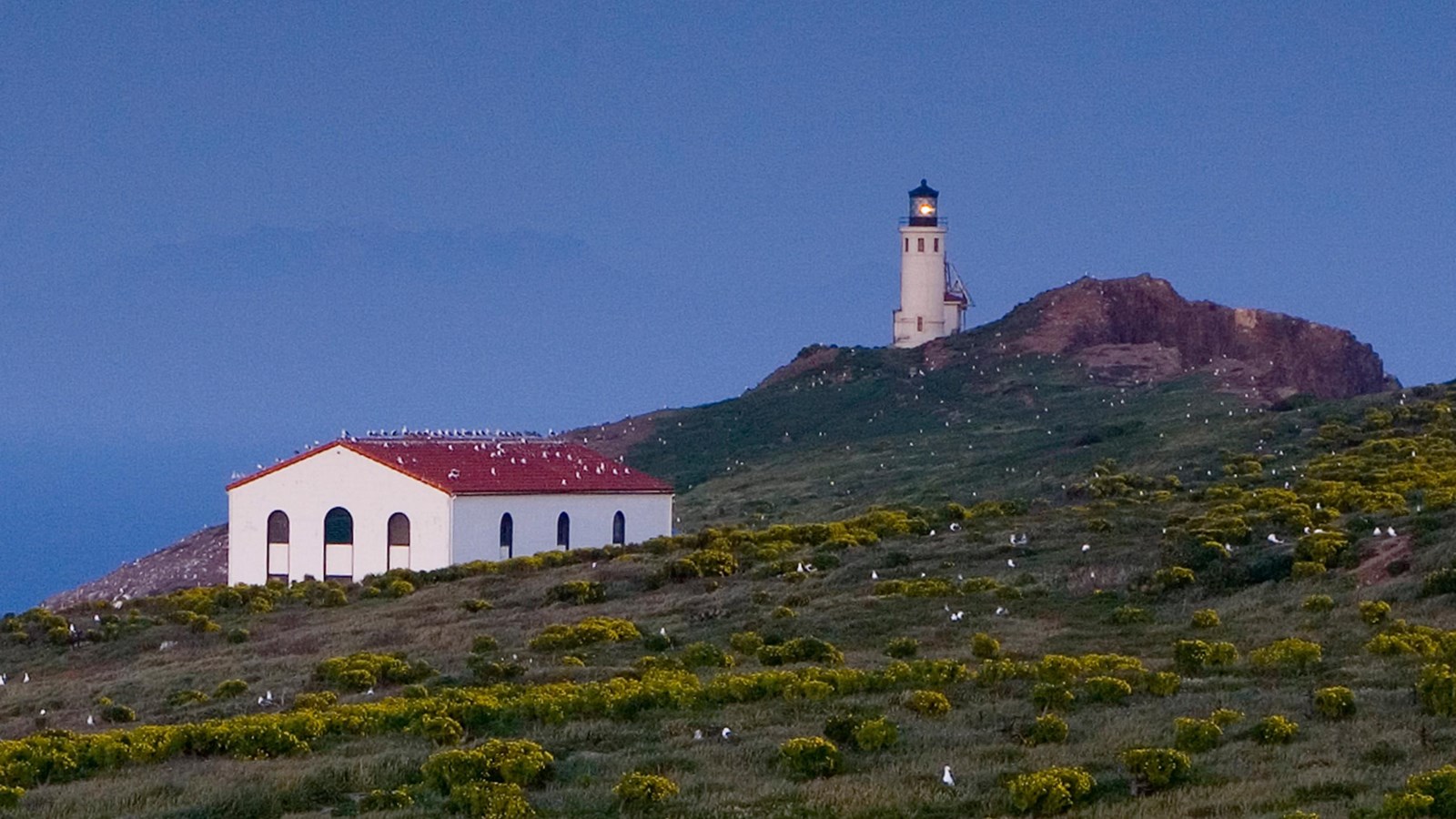 island terrace with buildings overlooking the ocean