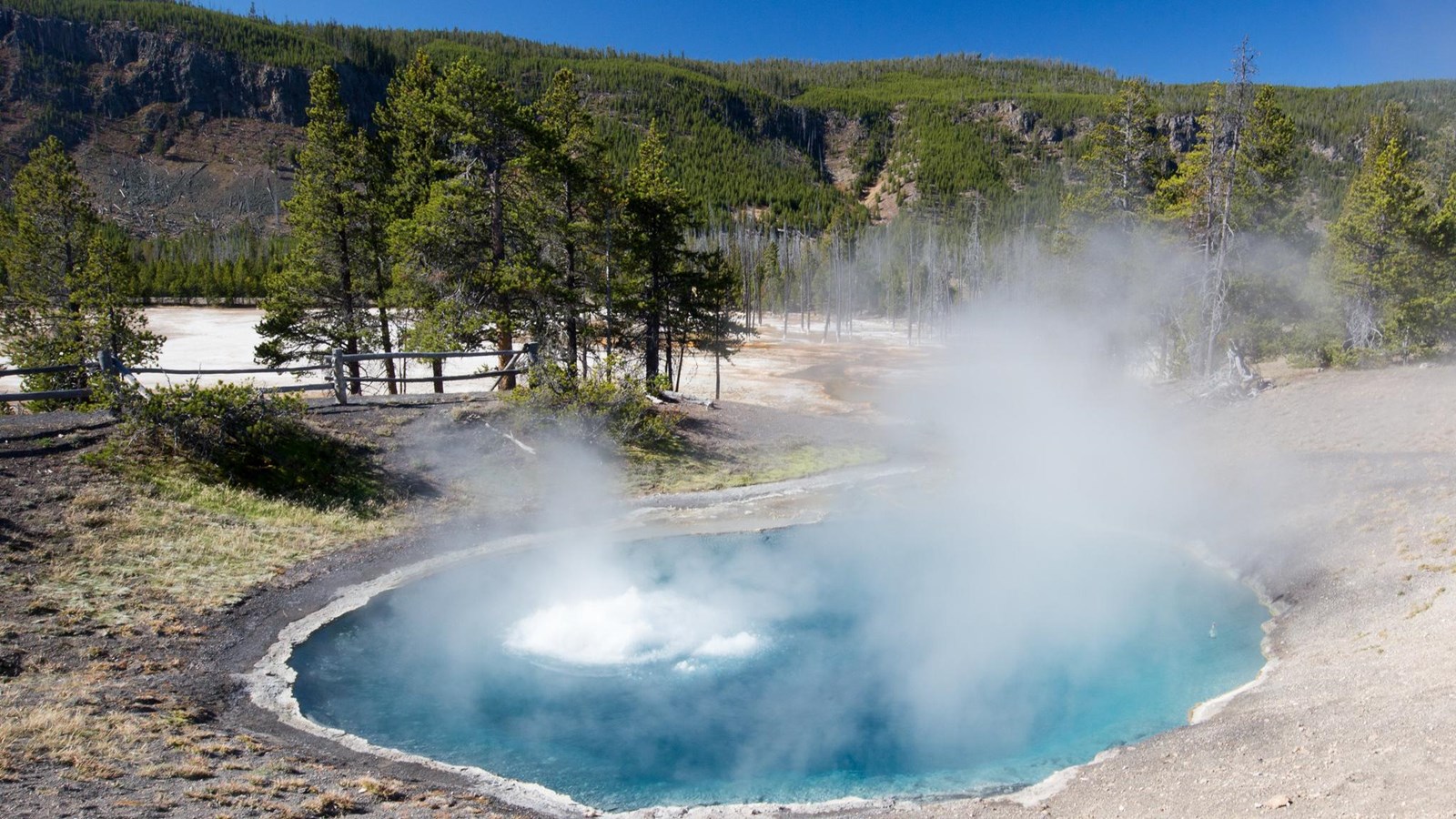 Steam rises off a turquoise blue hot spring as bubbles rise to the surface of the water.