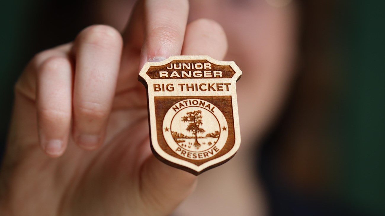 Hand holding a wooden badge that says Junior Ranger, Big Thicket National Preserve.