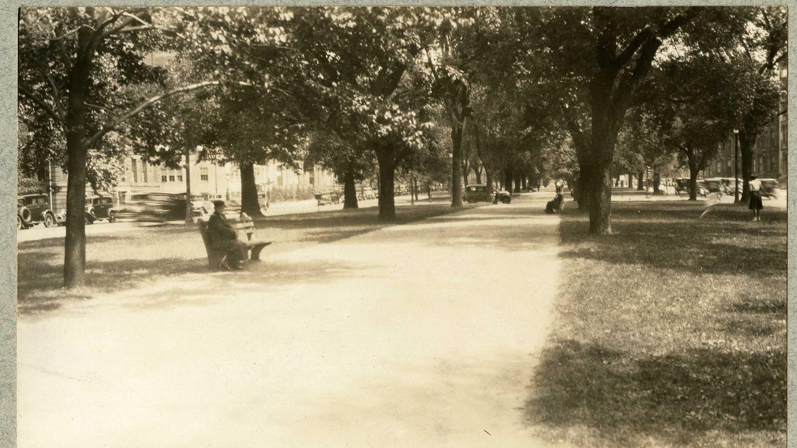 Black and white of path through grass lined with trees and benches on path with people on it