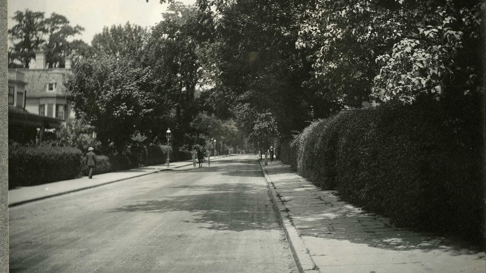 Black and white of street lined with shrubs and trees with houses, and people and horses on road