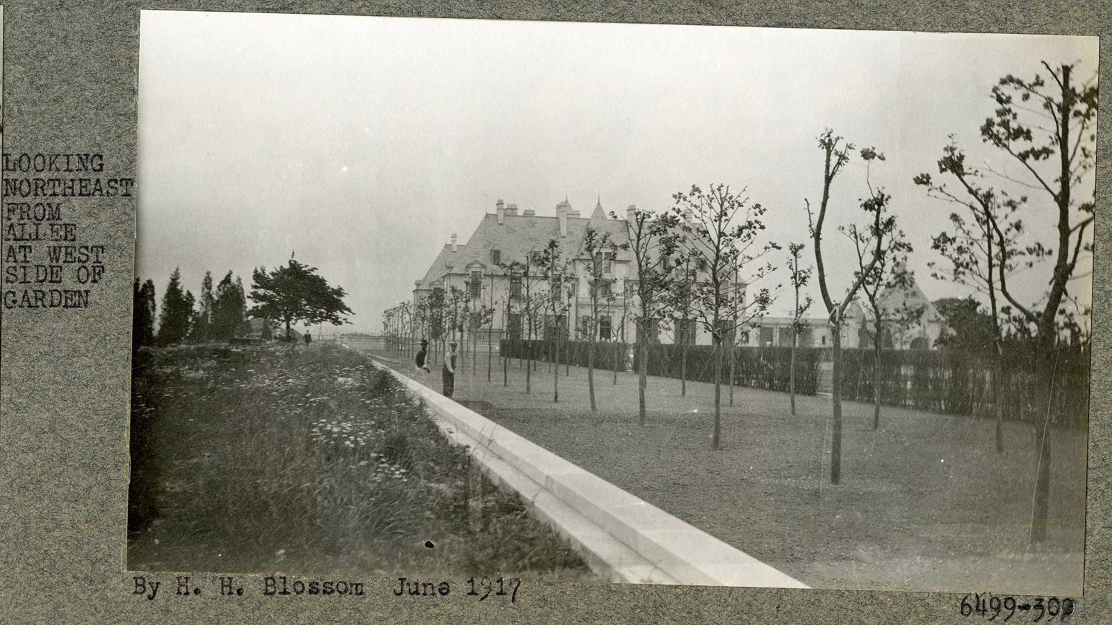 Black and white of flat grassy area with two lines of trees, house in distance