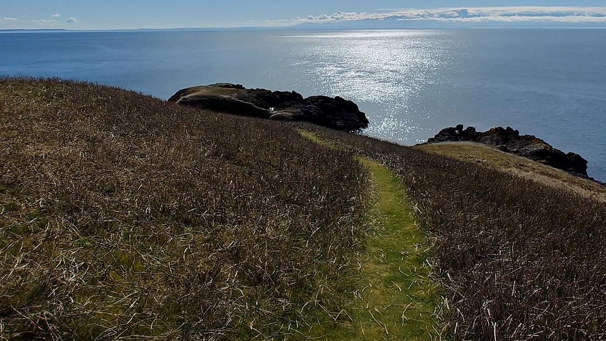 American Camp Prairie looking into the ocean with blue skies