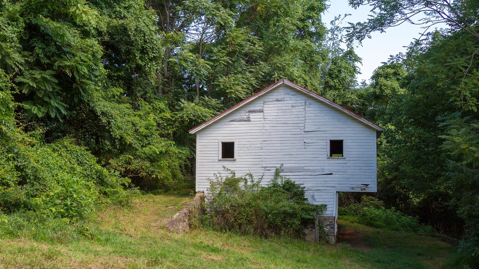 An old, white barn sits under a canopy of green trees