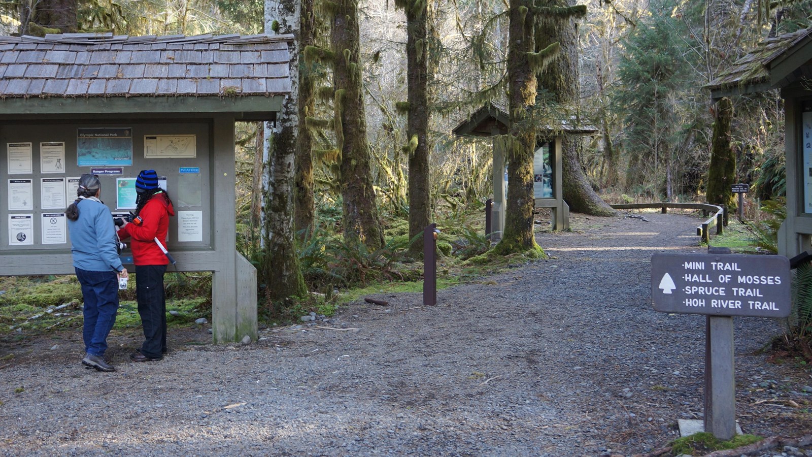 Two hikers looking at a kiosk with posted signs next to a rainforest trailhead.