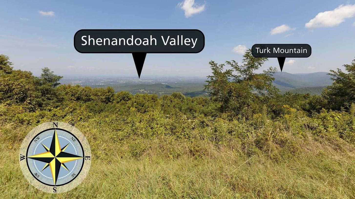 A view over trees into a valley below. 