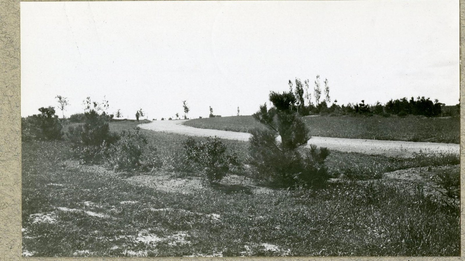 Black and white of curving road up grassy hill with shrubs along the side, trees in distance