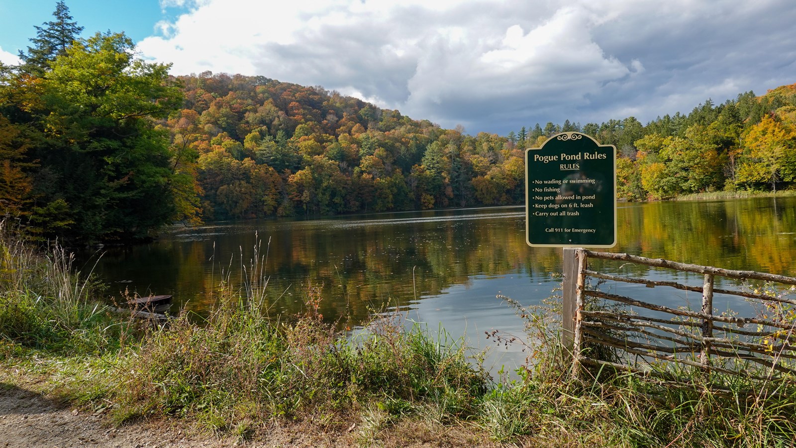 pond with fall foliage and a sign that says pogue rules 