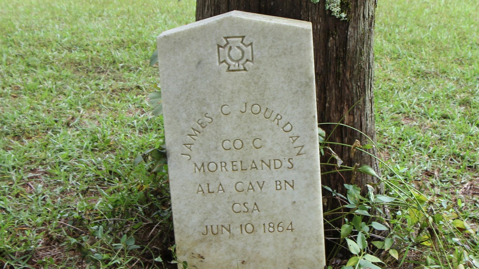 White granite tombstone in front of a cedar tree surrounded by cut grass.
