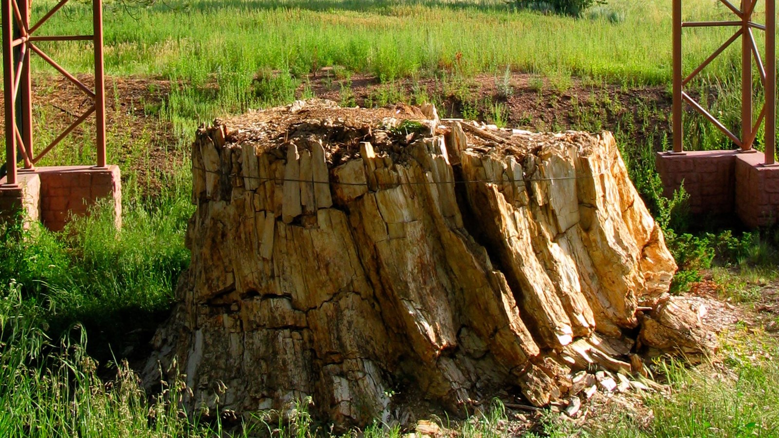 A 12 foot wide, 10 foot tall petrified tree stump is covered by a metal roof shelter