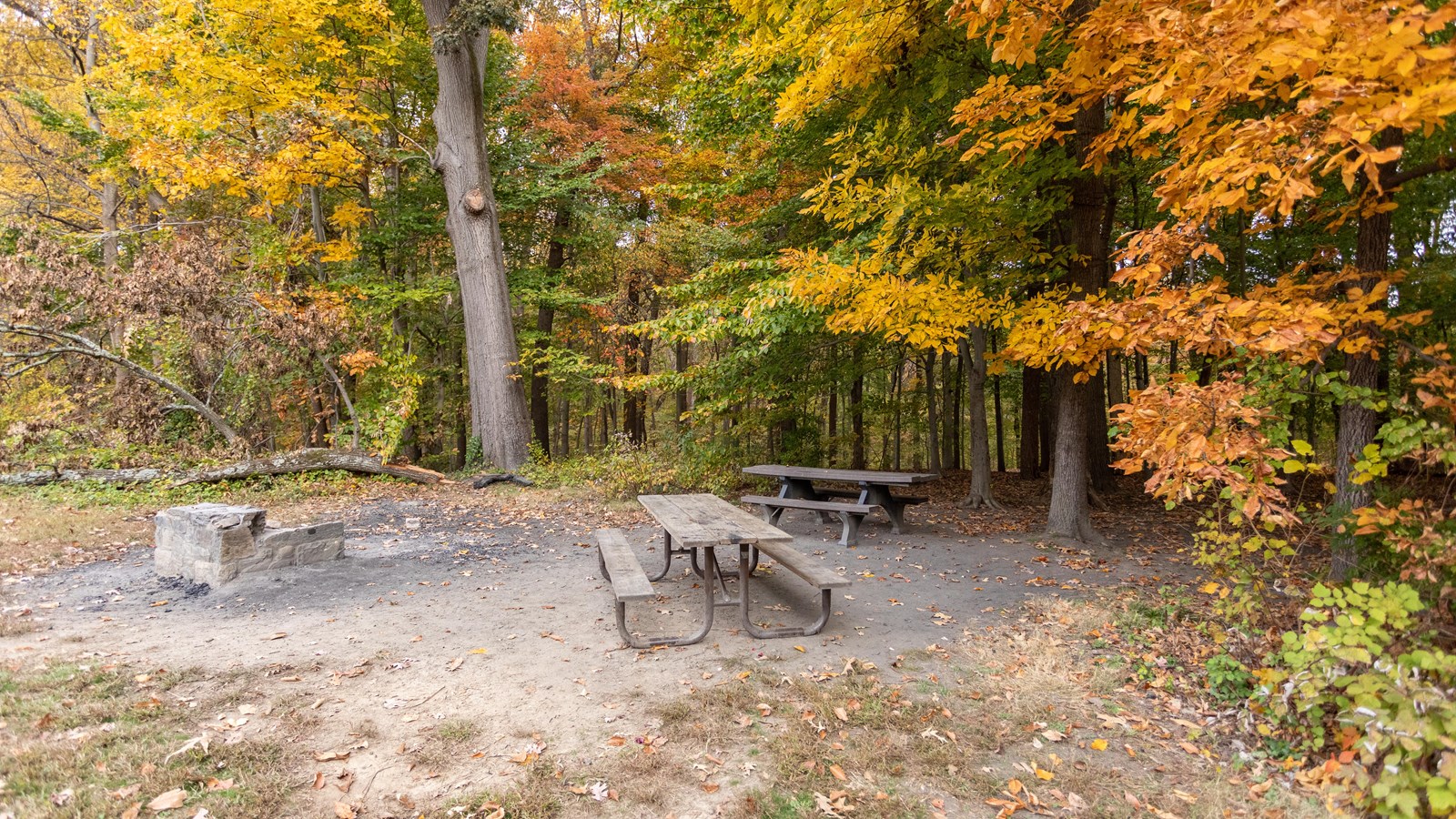 Two picnic benches and a campfire pit in front of trees changing colors in the fall