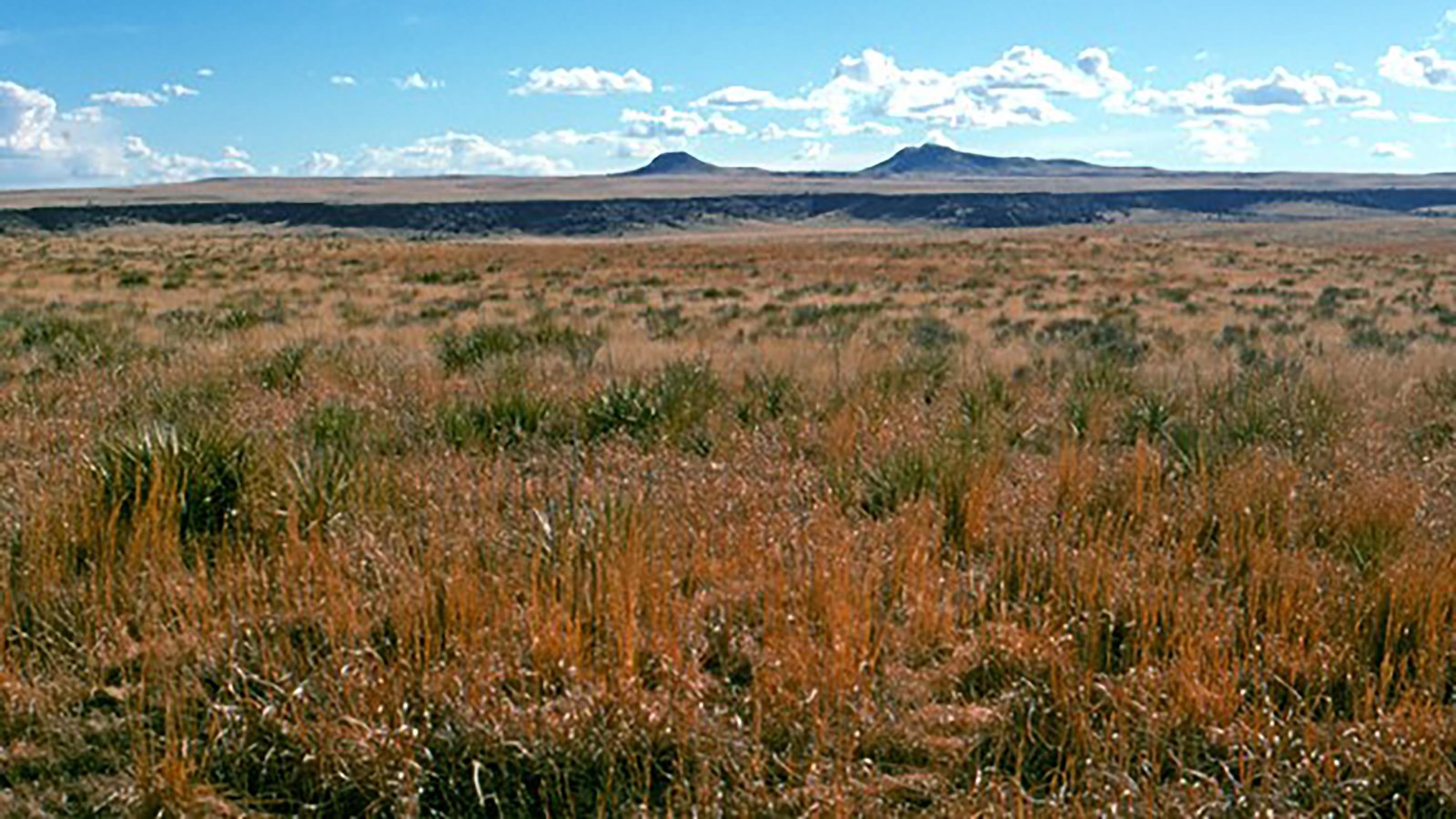 Expansive grassland looking out onto two distinct mounds.