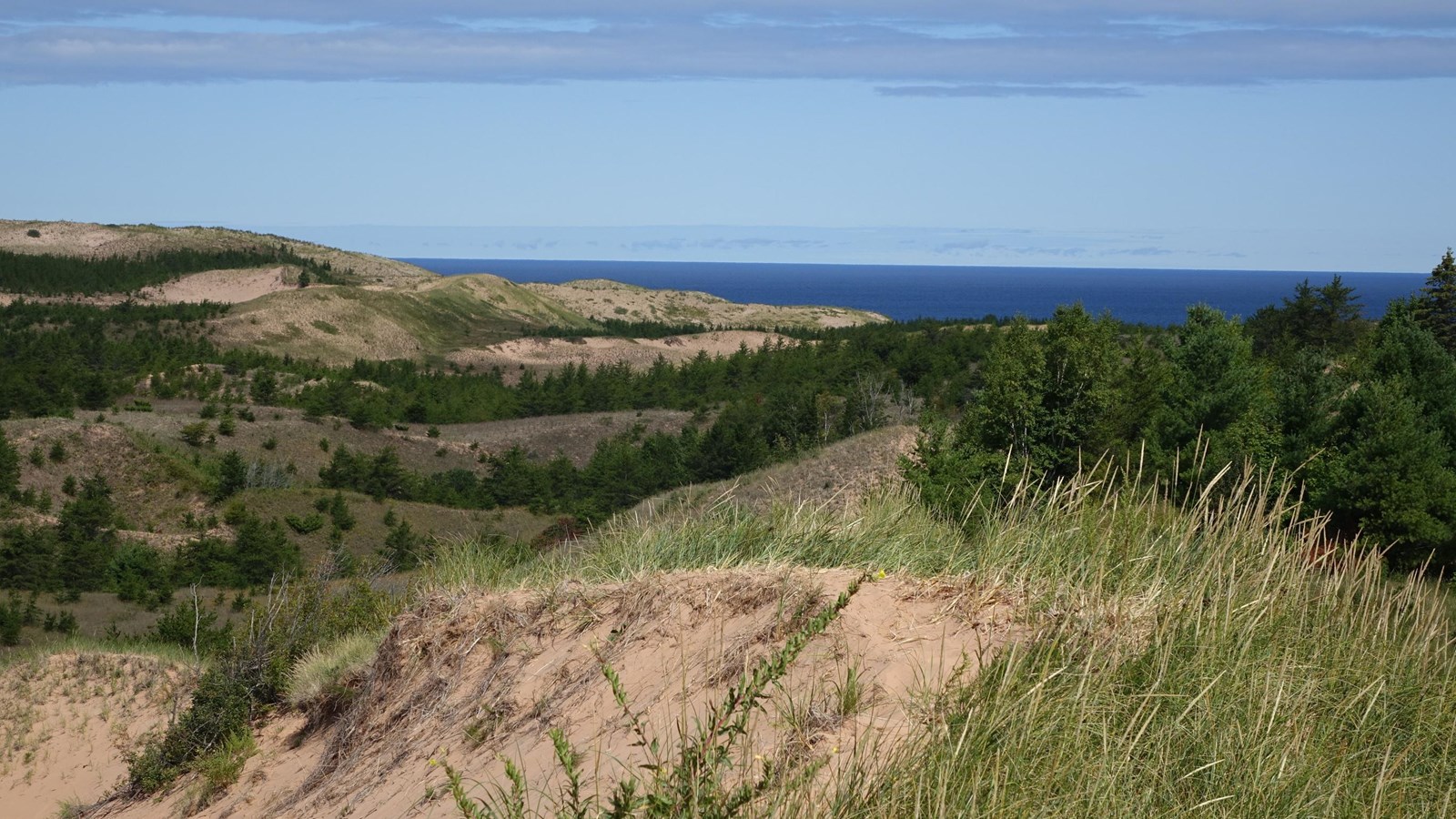 Dune and swale areas well away from the dune face on Lake Superior.